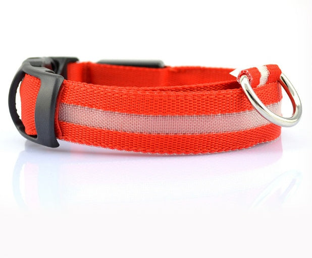 Safety Glow LED Dog Collar (Battery Powered, All Sizes)