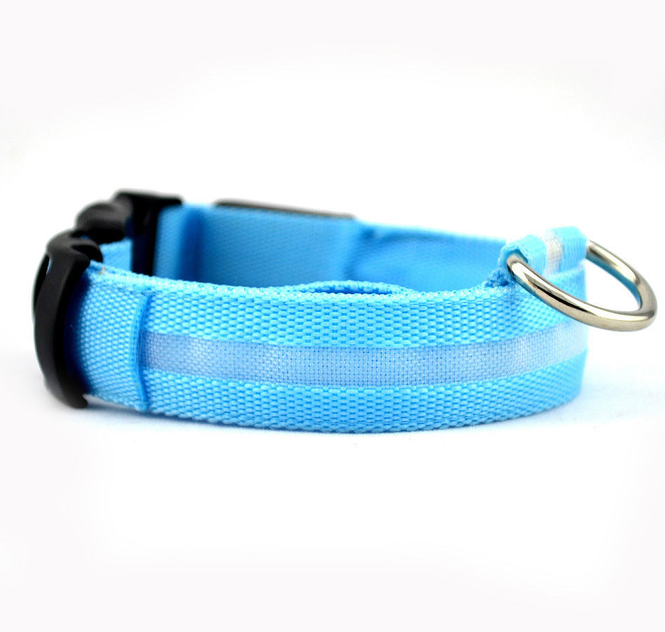 Safety Glow LED Dog Collar (Battery Powered, All Sizes)